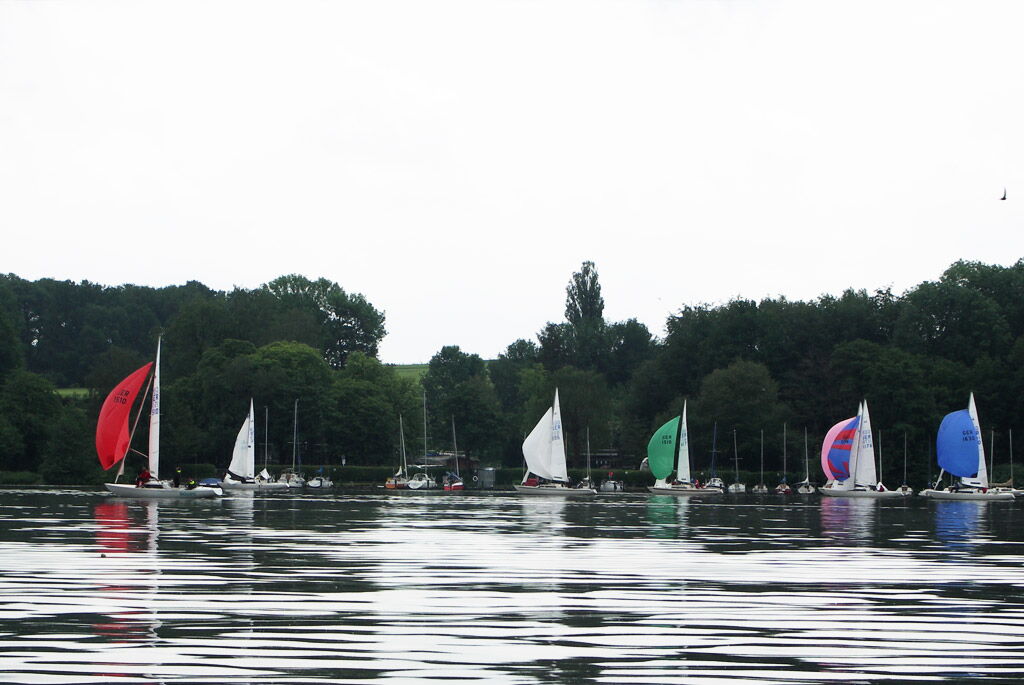 Mühsam ernährt sich das Eichhörnchen.