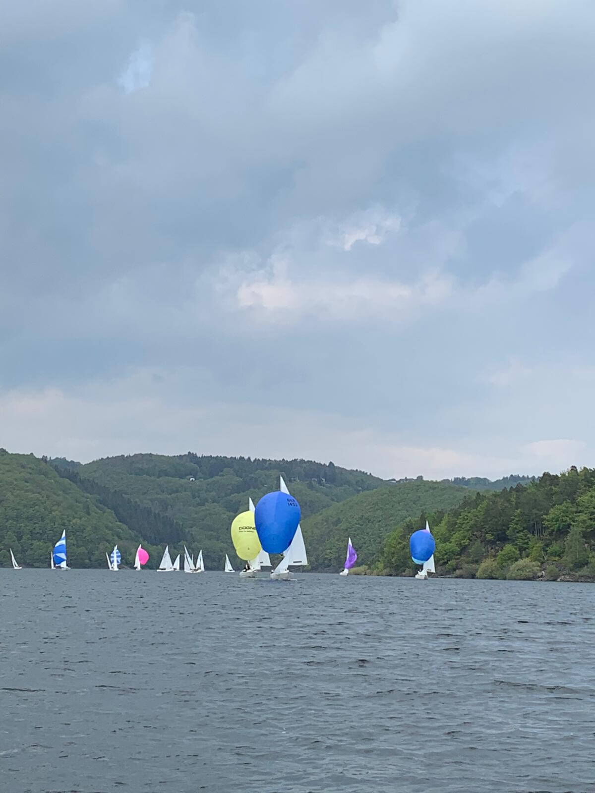 Klenkes Regatta 2019: H-Boote