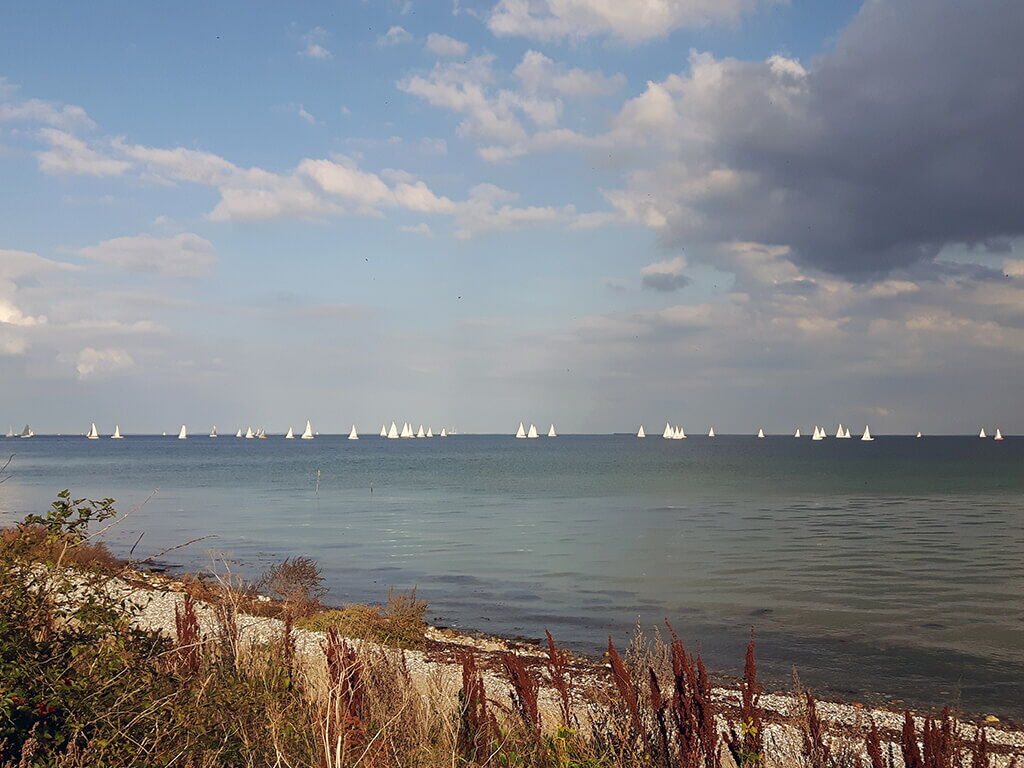 Die Karawane von Land aus gesehen.